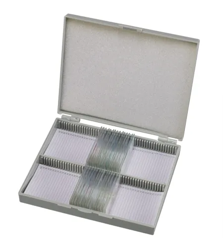 Parengtos skaidrės: 50 vnt Box BRESSER