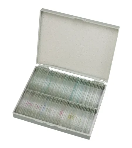Prepared Slides 100 pcs. Box BRESSER
