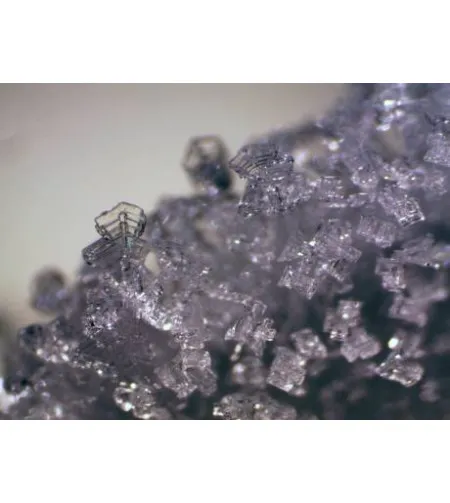 Stereomikroskopas BRESSER ERUDIT ICD (30.5)