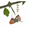 Produce your own Birdseed kit NATIONAL GEOGRAPHIC