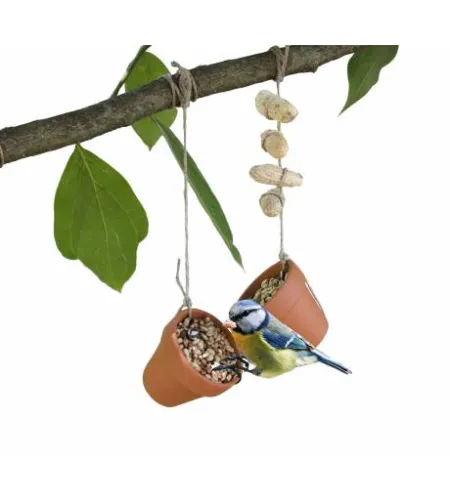 Produce your own Birdseed kit NATIONAL GEOGRAPHIC