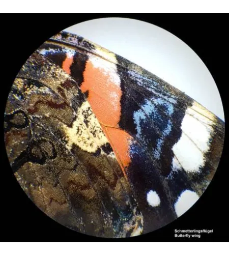 Stereomikroskopas BRESSER Analyth STR 10x - 40x