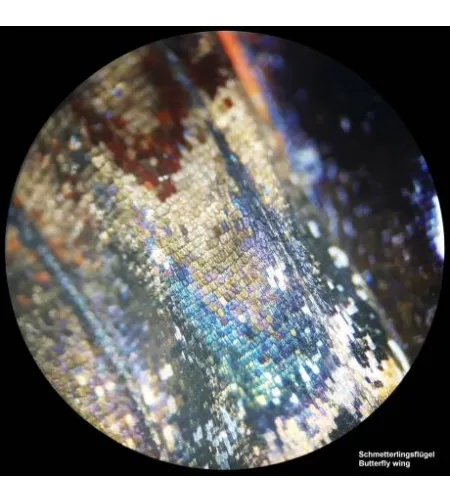 Stereomikroskopas BRESSER Analyth STR 10x - 40x