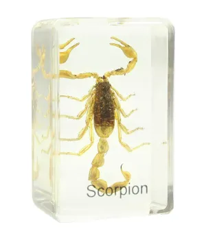 Sagatavots slaids - skorpions, Omegon