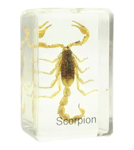 Подготовленная горка - скорпион, Omegon