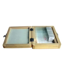 Prepared slide set, 20 slides in a wooden box, Omegon