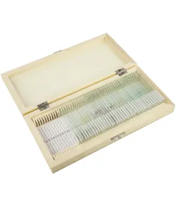 Prepared slide set, 40 slides in a wooden box, Omegon