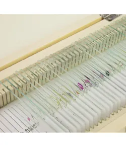 Prepared slide set, 40 slides in a wooden box, Omegon