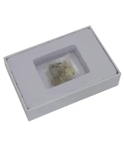 Fosiliju komplekts, Omegon