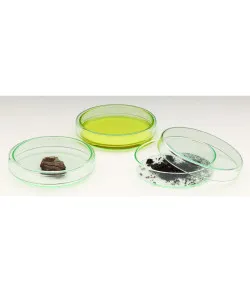 Windaus 100mm glass Petri dish with lid