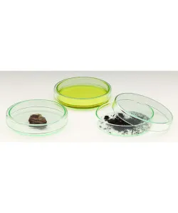 Windaus 100mm glass Petri dish with lid