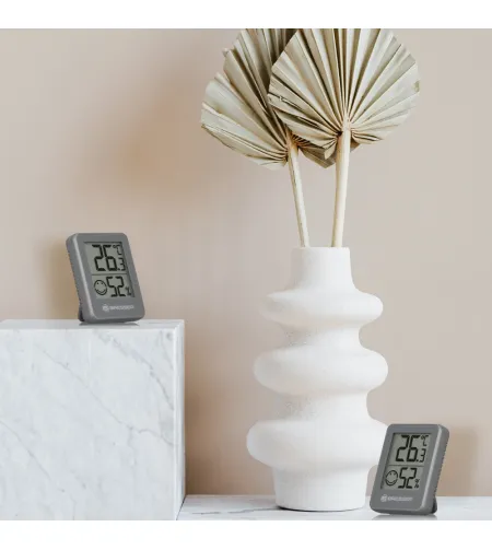 BRESSER Temeo Hygro Indicator 6 piece set Thermo-/Hygrometer grey