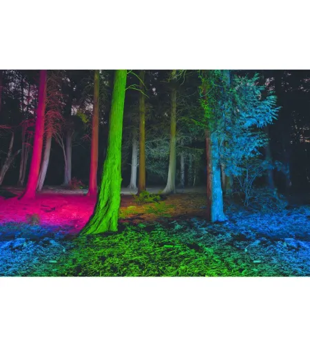 Kabatas lukturītis LED LENSER T² QC 4 krāsas