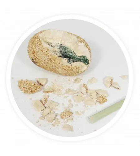 Buki Dino kiaušinis