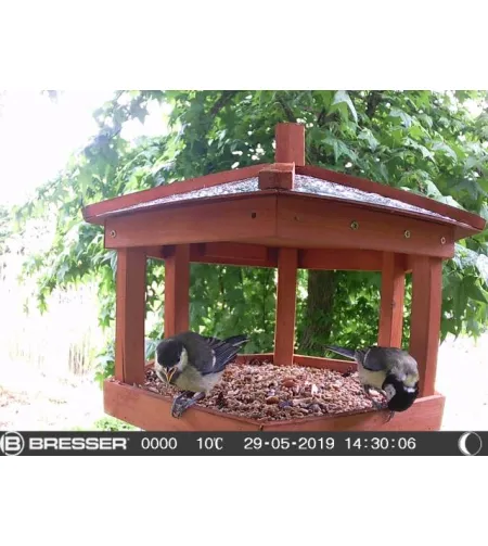 BRESSER SFC-1 Linnu- / väikeloomakaamera