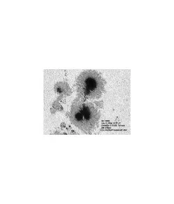 Astrozap AstroSolar teleskopinis saulės filtras 90mm-100mm