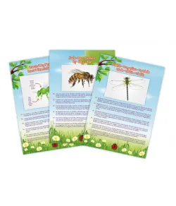 Vabzdžių dulkių siurblys, Buki