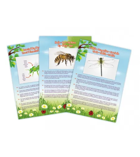 Vabzdžių dulkių siurblys, Buki