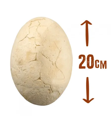 Дино Мега Яйцо, Buki