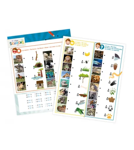 Laterna 3-in-1, Buki