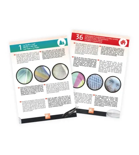 Binokulinis mikroskopas, Buki