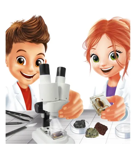 Binokulinis mikroskopas, Buki