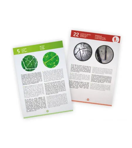 Vaizdo mikroskopas, Buki