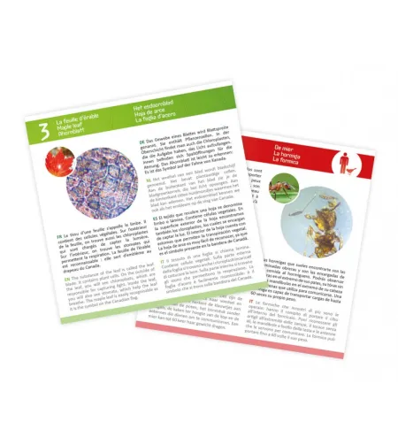 Microscope Slides, Buki