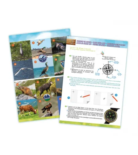 Pārgājienu komplekts, Buki