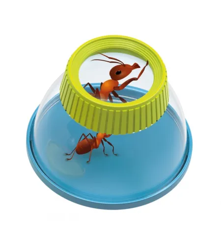 Talpykla vabzdžiams tirti Buki