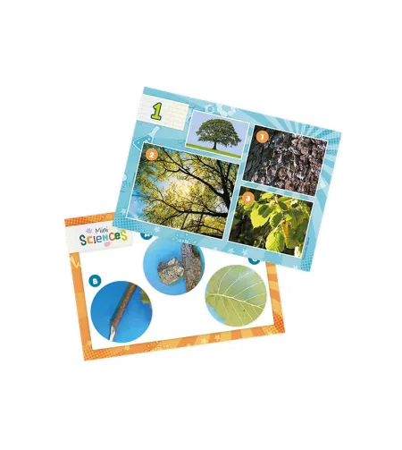 Mikroskopas, Buki, Mini Sciences