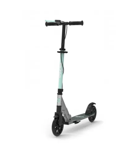 Mechaninis paspirtukas, Buki, mėtų