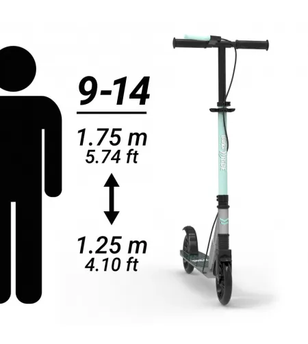 Mechaninis paspirtukas, Buki, mėtų