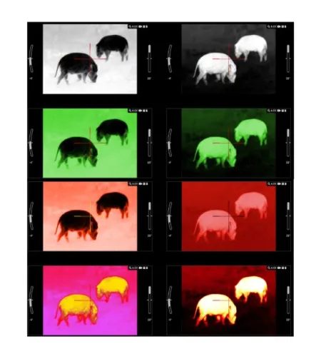 Тепловизионный оптический прицел ATN MARS LTV 256 4-12x