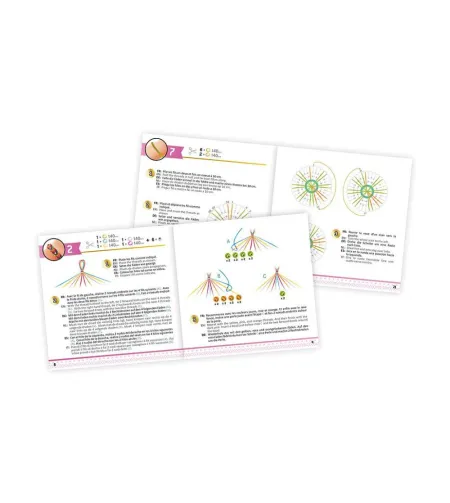 Draugystės apyrankės, Buki