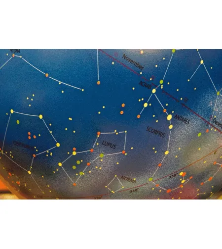 Globe Stellare Plus 30cm/12" (Latin)