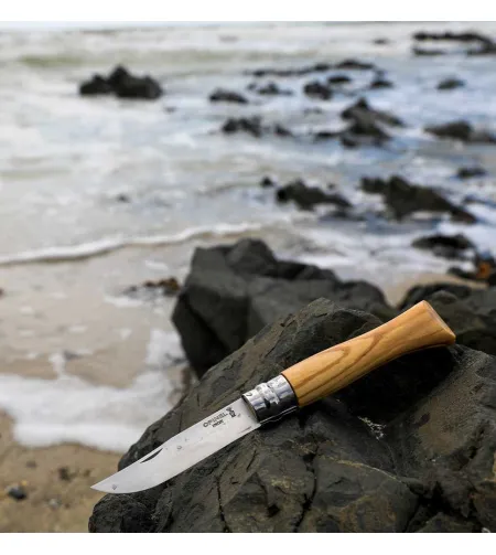 Peilis Nr. 06, nerūdijantis plienas, alyvuogių mediena, Opinel