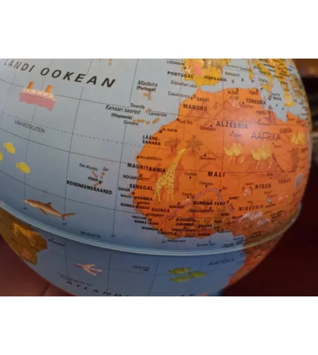 Globe Arca (EE) 25cm/10", Nova Rico