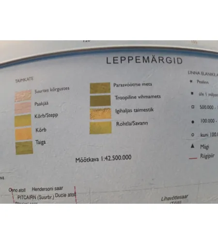 Globe Astra (EE) 30cm/12", Nova Rico