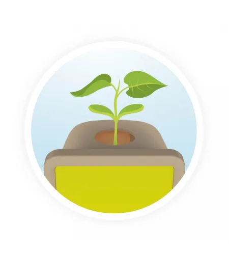 Buki Maži ūgliai - 100% pagaminti Prancūzijoje