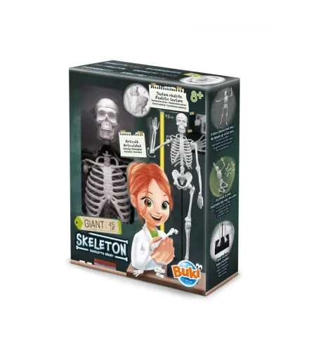 Skelets 45 cm, Buki