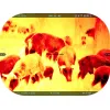 Termograafiline sihik MARS 5 EVO 320 5-20X 12 Smart HD ATN