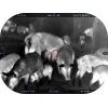 Termograafiline sihik MARS 5 EVO 320 5-20X 12 Smart HD ATN