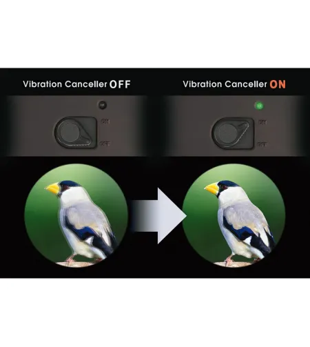 ixeni pildistabilisaatoriga binokkel Atera II ED 16x50 WP