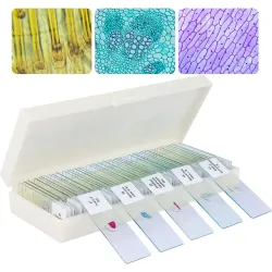 Paruošti preparatai (preparuotos slidės)