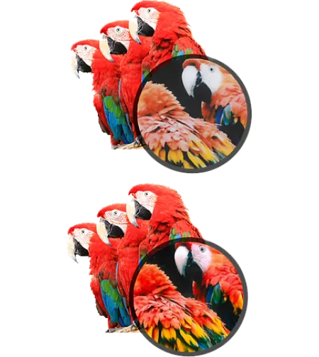 Kodak Mini shot Combo 2 Retro White