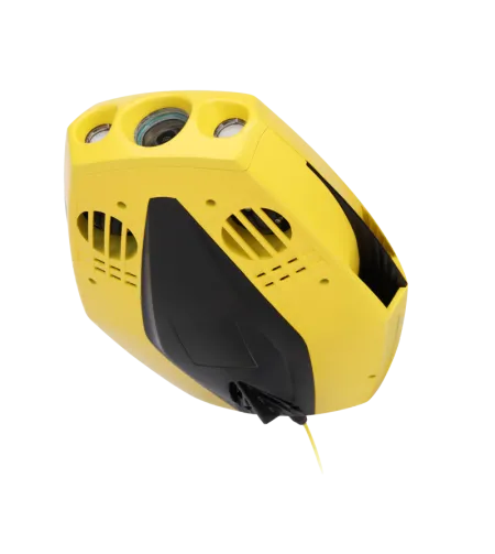 Chasing Dory Flash Pack