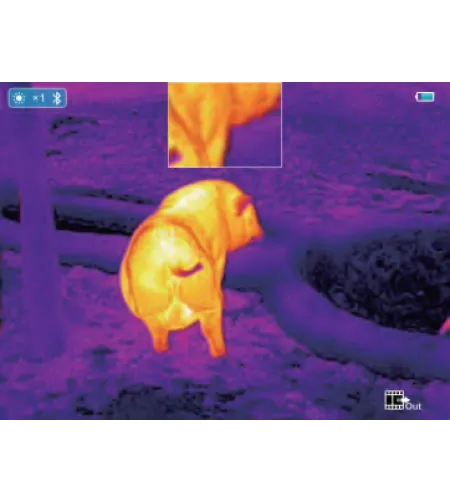 Thermal Imaging Rifle Scope INFIRAY Saim SCT35 V2