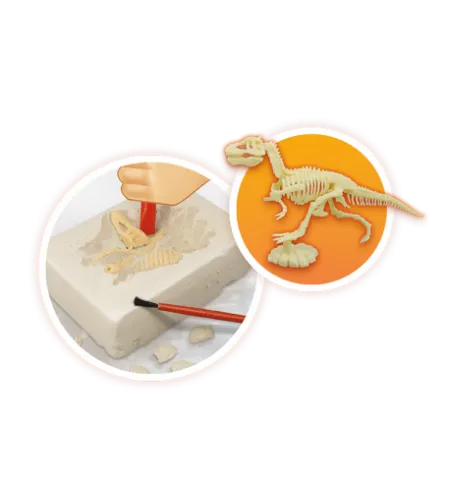 Ugnikalniai ir dinozaurai, Buki