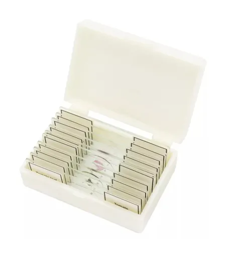 BRESSER paruoštos skaidrės aukštos kokybės 10 vnt